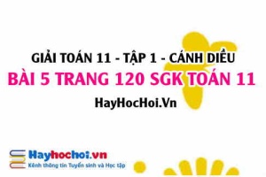 Giải bài 5 trang 120 Toán 11 tập 1 SGK Cánh Diều